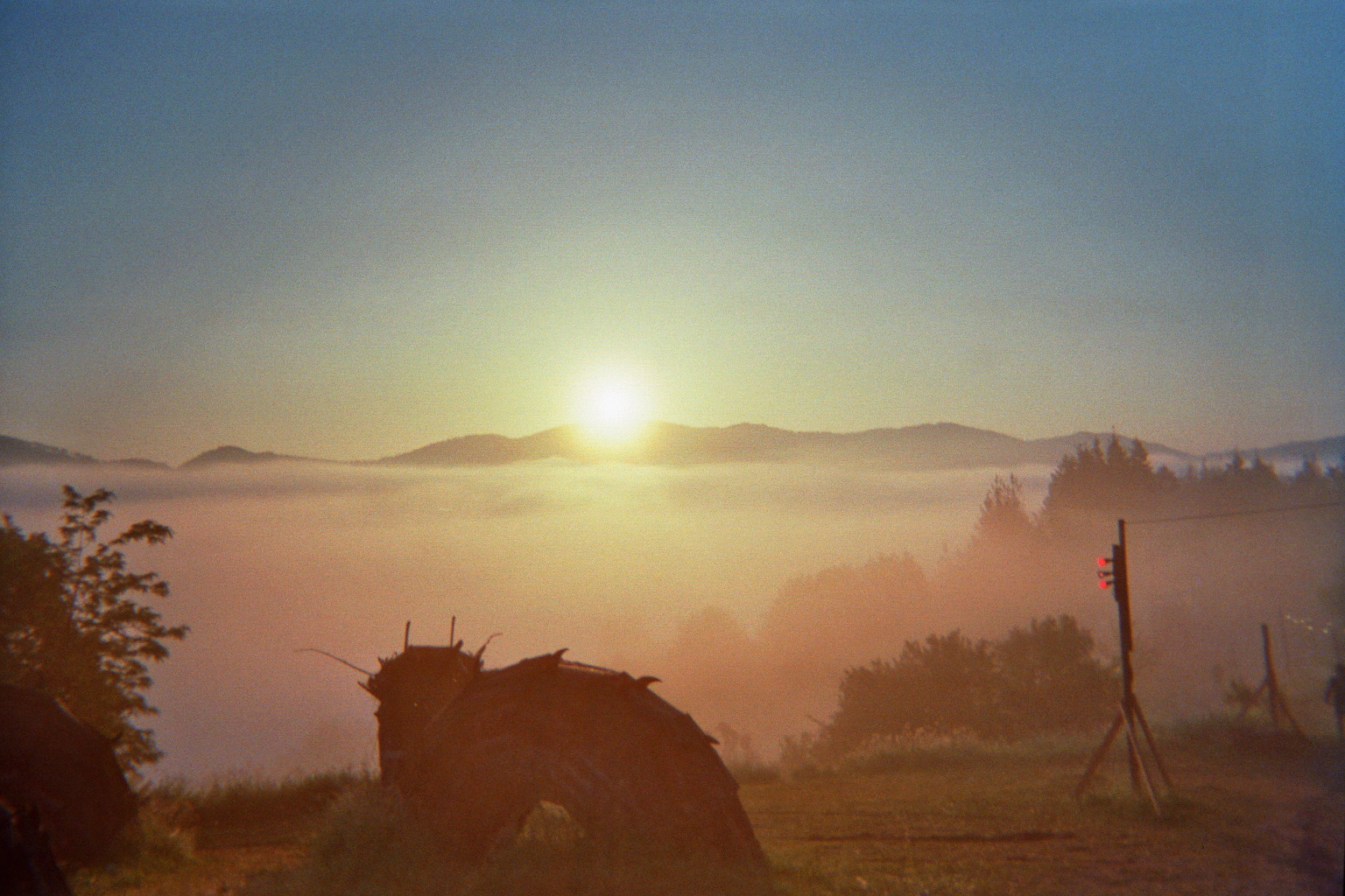 Meadows in the Mountains Festival